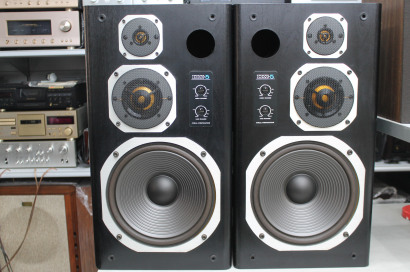 Coral DX 5
