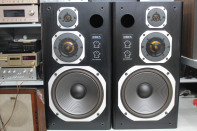 Coral DX 5